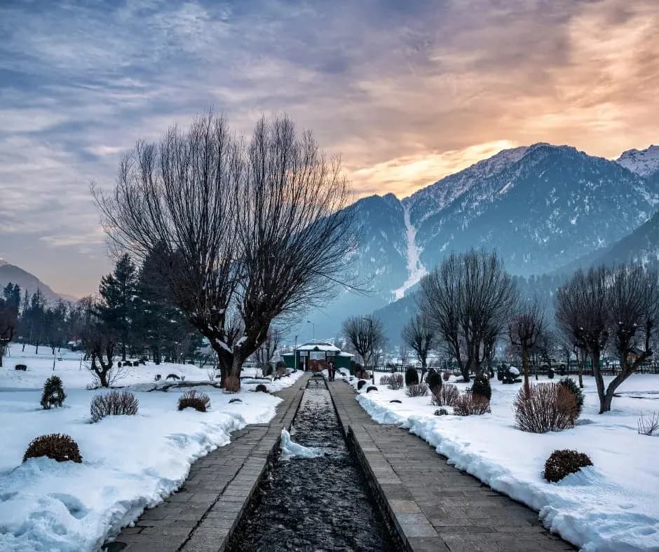 Jammu Kashmir First Snowfall: What Travelers Must Know