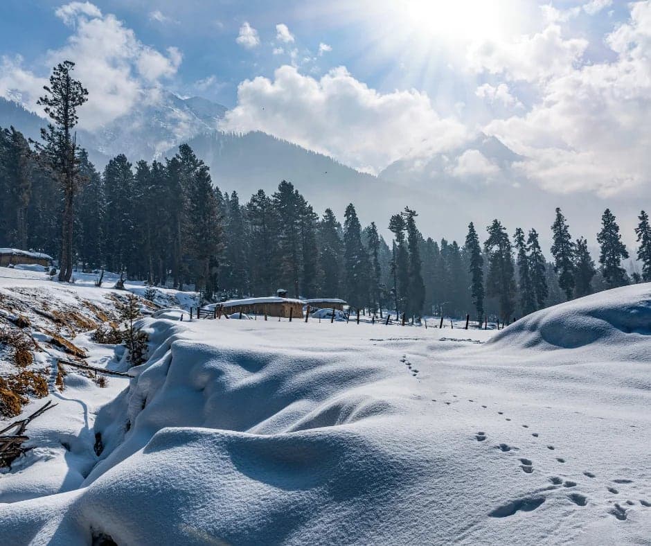 January: The Heart of Winter