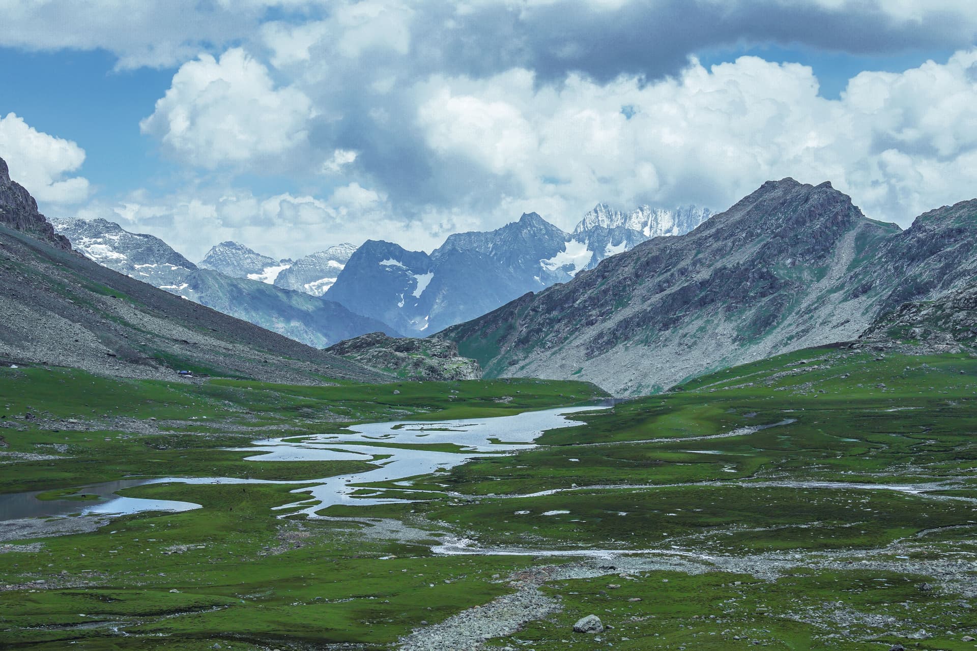 Shallabugh Wetland: Kashmir's Hidden Bird Paradise