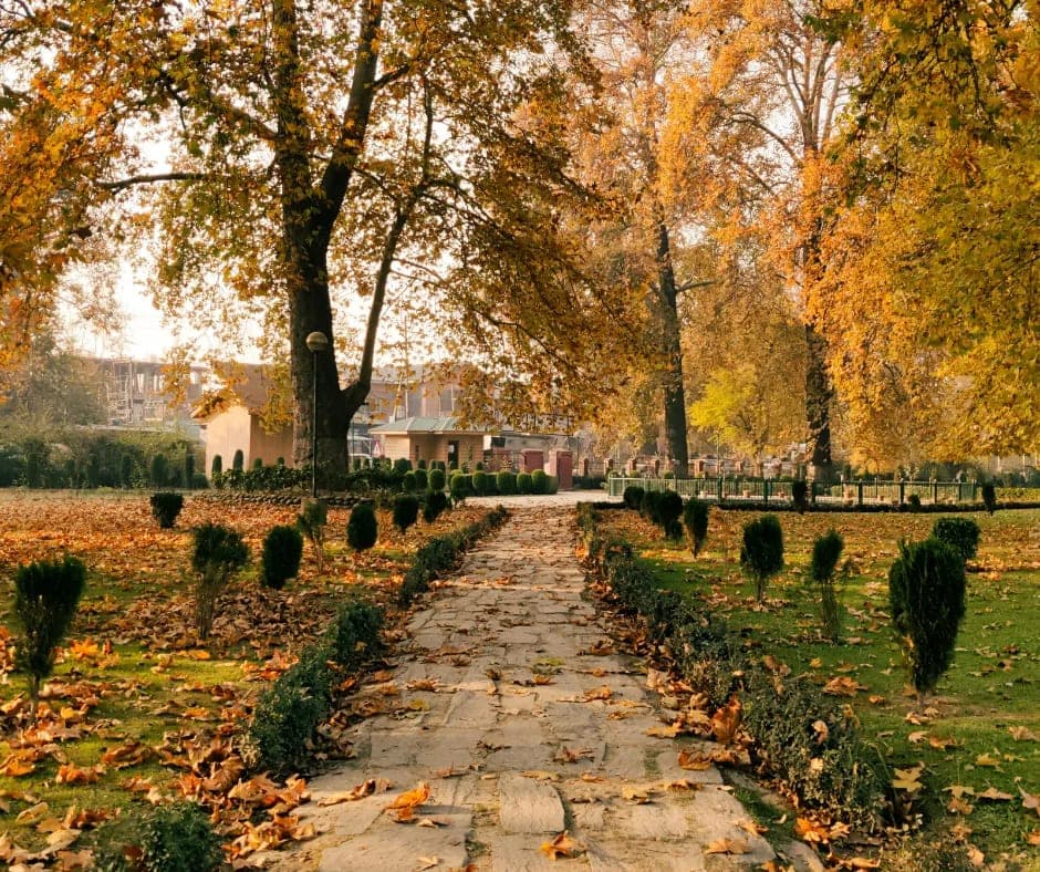 Kashmir in October : Weather, Places & Travel Tips