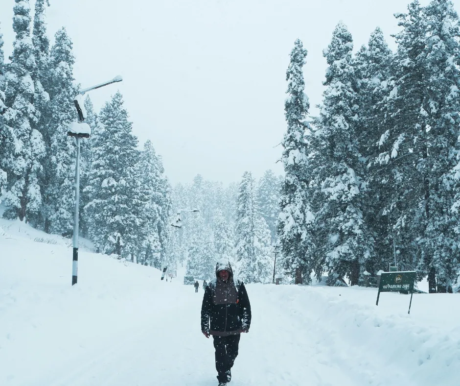 Best Season to Visit Kashmir