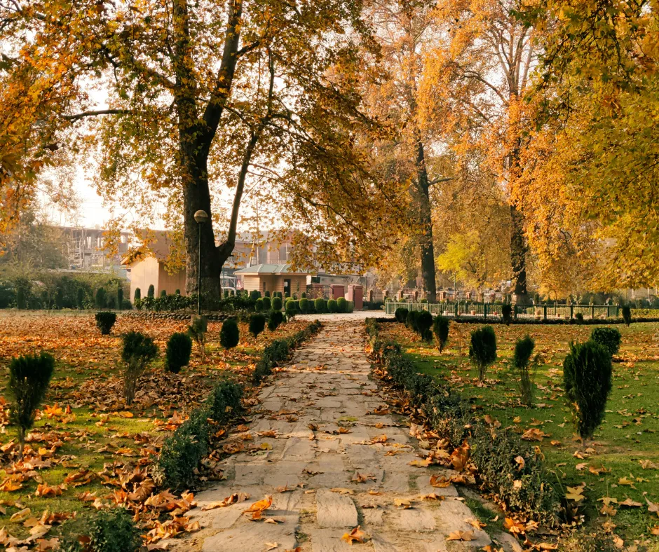 Best Season to Visit Kashmir