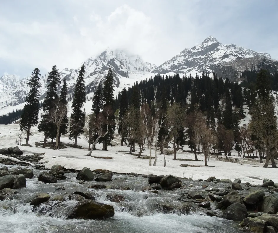 Best Season to Visit Kashmir
