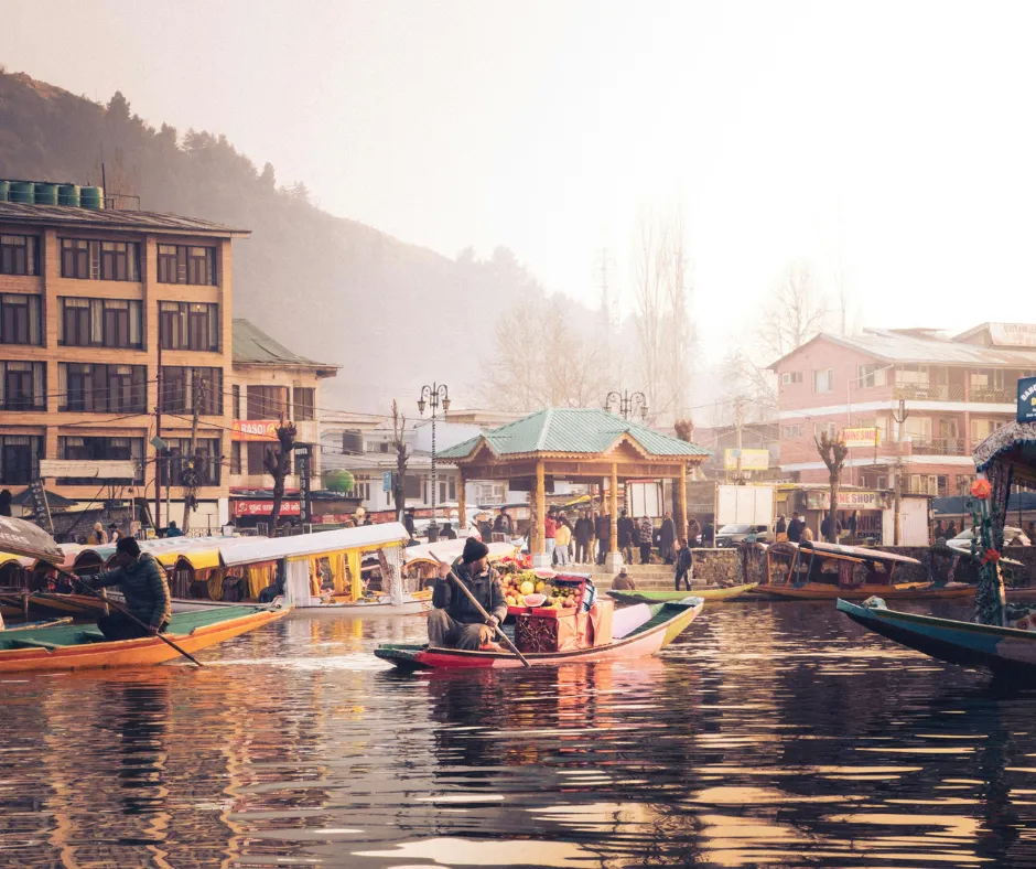 kashmir life
